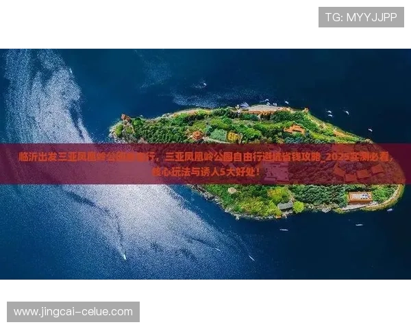 手机怎么玩球避坑指南 彩票数字高频玩法防骗